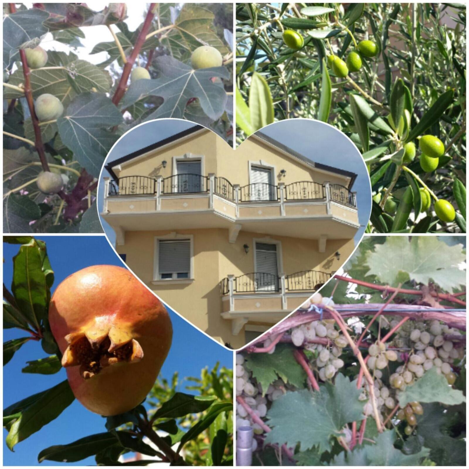 Villa Magdalena Βόντιτσε Εξωτερικό φωτογραφία